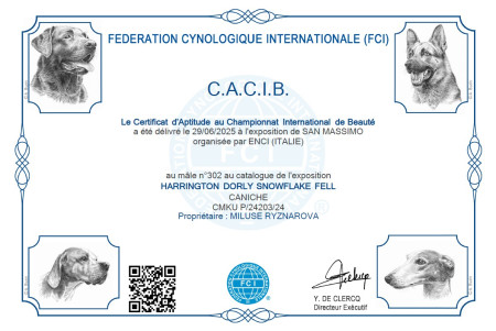 CCIB San Massimo 29.6.2025